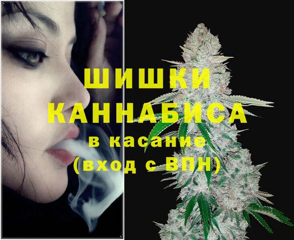 гашик Алексеевка