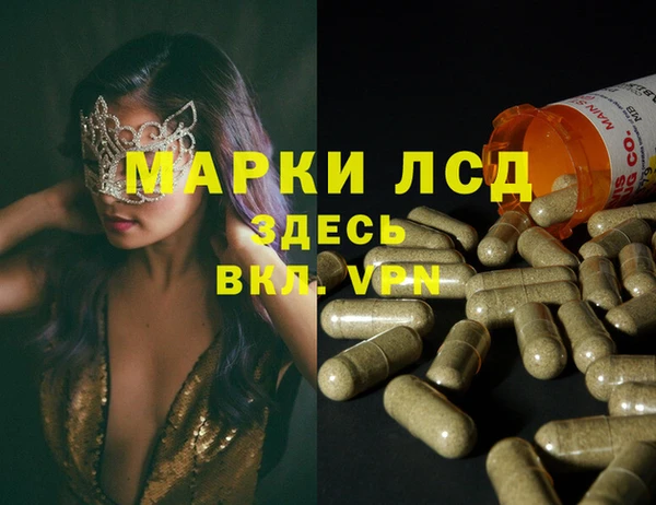 гашик Алексеевка